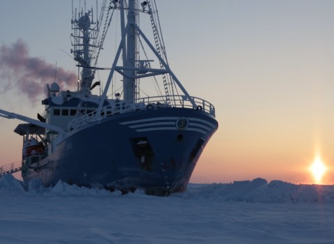 Drifting With the Ice: Life on an Arctic Expedition